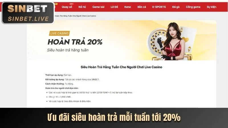Chiến lược chơi casino OXBET